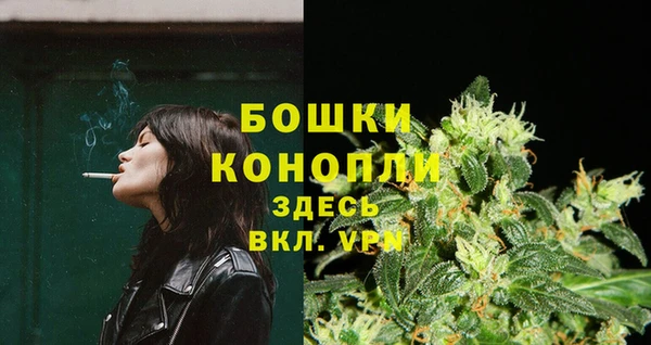 спайс Баксан